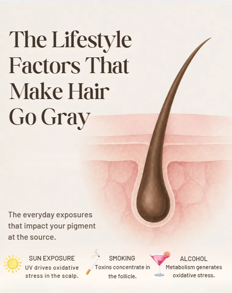 Everyday exposures that speed up graying - acting at the level of the follicle.